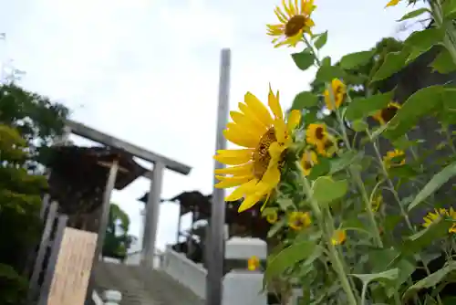 伊勢山皇大神宮(神奈川県)