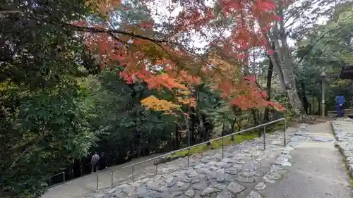 神護寺(京都府)