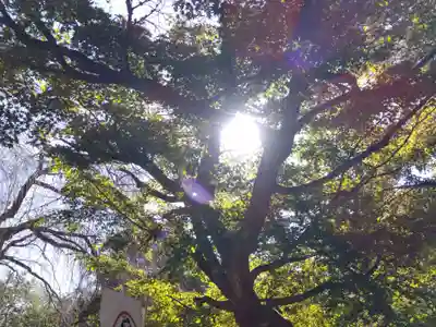 足羽神社(福井県)