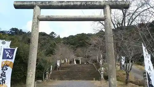 精矛神社の鳥居