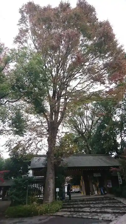 阿佐ヶ谷神明宮の山門・神門