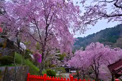 金櫻神社(山梨県)