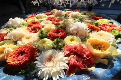 行田八幡神社(埼玉県)