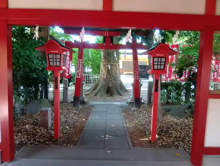 伊奴神社の{uncategorized: "未分類", other: "その他", undefined: "問題あり", building: "その他建物", grave: "お墓", sacred_gate: "鳥居", guardian: "狛犬", statue: "像", buddha: "仏像", history: "歴史", nature: "自然", garden: "庭園", animal: "動物", pagoda: "塔", temizu: "手水舎", mountain_gate: "山門・神門", sanctuary: "本殿・本堂", subordinate: "末社・摂社", art: "芸術", scenery: "景色", jizo: "地蔵", ema: "絵馬", goshuin: "御朱印", omikuji: "おみくじ", items: "授与品その他", amulet: "お守り", goshuincho: "御朱印帳", eats: "食事", festival: "お祭り", votive_dance: "神楽", shichigosan: "七五三参", wedding: "結婚式", experience: "体験その他", initially: "初詣", around: "周辺", anti_infection: "感染症対策"}