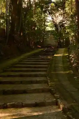 正伝護国禅寺(正伝寺･正傳寺)(京都府)