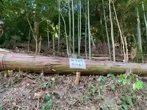 牟禮山観音禅寺の自然(2020年12月18日(金) 06時43分06秒投稿)