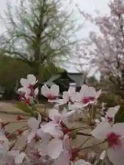 賀羅加波神社の自然