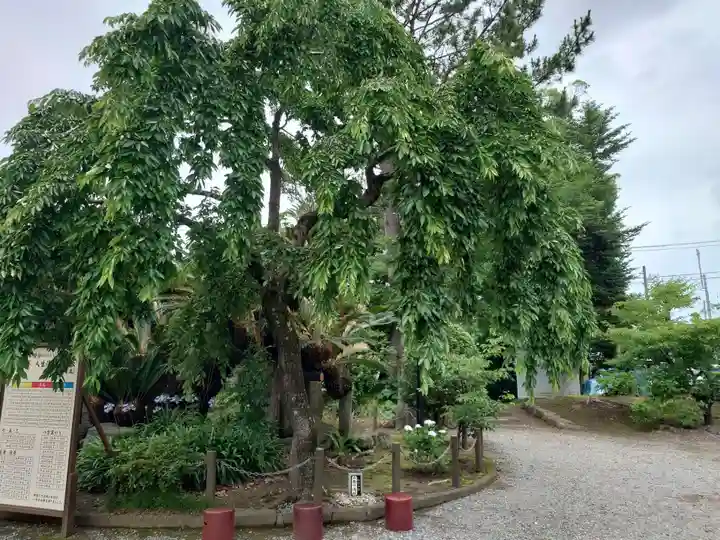 日枝神社(静岡県)