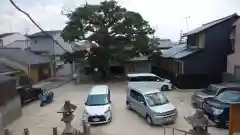 櫟谷七野神社の建物その他