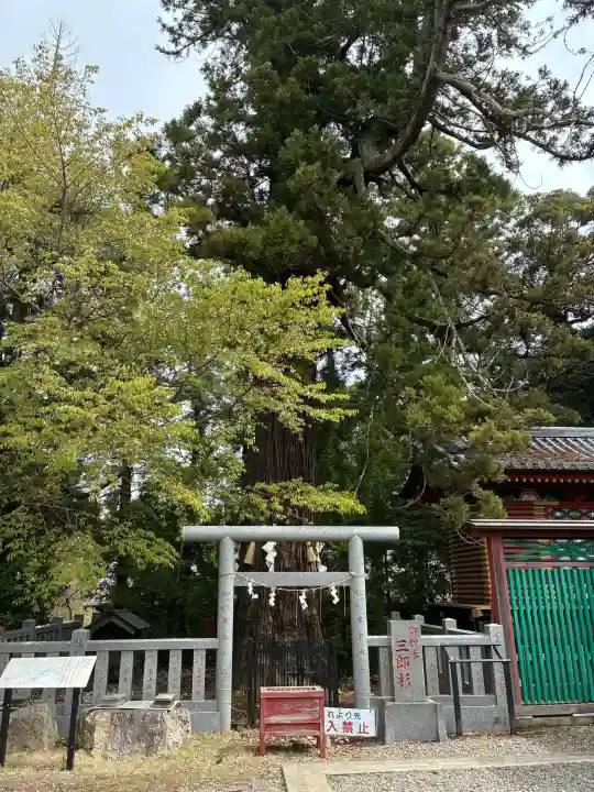 大杉神社の{uncategorized: "未分類", other: "その他", undefined: "問題あり", building: "その他建物", grave: "お墓", sacred_gate: "鳥居", guardian: "狛犬", statue: "像", buddha: "仏像", history: "歴史", nature: "自然", garden: "庭園", animal: "動物", pagoda: "塔", temizu: "手水舎", mountain_gate: "山門・神門", sanctuary: "本殿・本堂", subordinate: "末社・摂社", art: "芸術", scenery: "景色", jizo: "地蔵", ema: "絵馬", goshuin: "御朱印", omikuji: "おみくじ", items: "授与品その他", amulet: "お守り", goshuincho: "御朱印帳", eats: "食事", festival: "お祭り", votive_dance: "神楽", shichigosan: "七五三参", wedding: "結婚式", experience: "体験その他", initially: "初詣", around: "周辺", anti_infection: "感染症対策"}