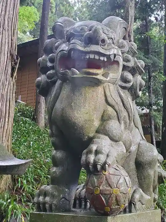 須山浅間神社の狛犬