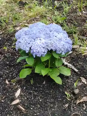 鹿島台神社(宮城県)
