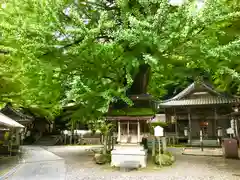 正法寺(滋賀県)