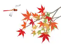 出雲大社倉敷教会(岡山県)