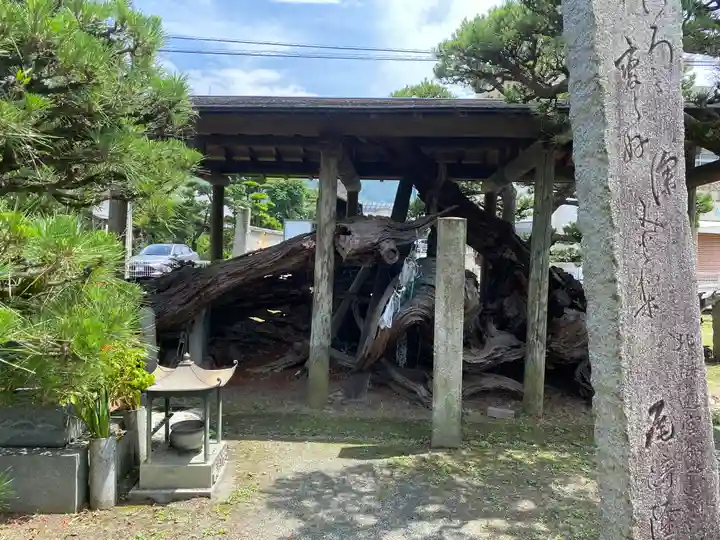 延命寺(愛媛県)