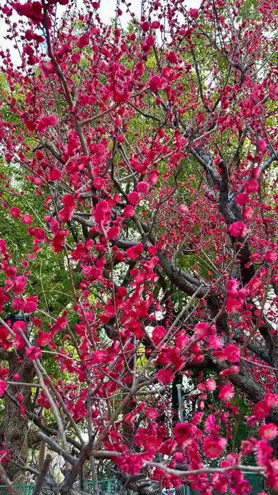 屯倉神社(大阪府)