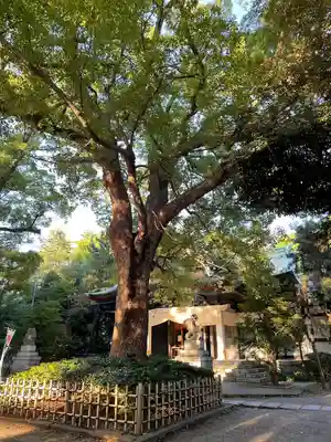 王子神社(東京都)