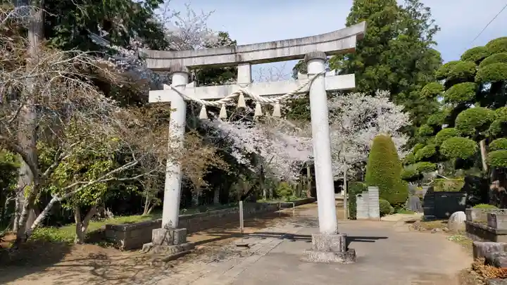 松山神社の鳥居