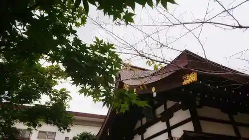 三輪神社の本殿・本堂