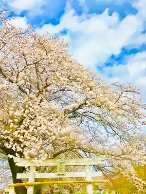 鹿嶋神社の自然