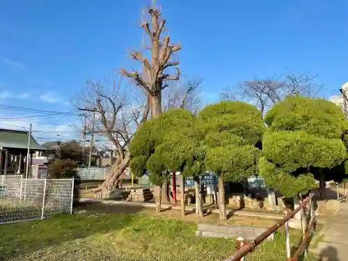 馬橋弁財天厳島神社の{uncategorized: "未分類", other: "その他", undefined: "問題あり", building: "その他建物", grave: "お墓", sacred_gate: "鳥居", guardian: "狛犬", statue: "像", buddha: "仏像", history: "歴史", nature: "自然", garden: "庭園", animal: "動物", pagoda: "塔", temizu: "手水舎", mountain_gate: "山門・神門", sanctuary: "本殿・本堂", subordinate: "末社・摂社", art: "芸術", scenery: "景色", jizo: "地蔵", ema: "絵馬", goshuin: "御朱印", omikuji: "おみくじ", items: "授与品その他", amulet: "お守り", goshuincho: "御朱印帳", eats: "食事", festival: "お祭り", votive_dance: "神楽", shichigosan: "七五三参", wedding: "結婚式", experience: "体験その他", initially: "初詣", around: "周辺", anti_infection: "感染症対策"}
