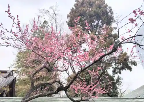 愛宕神社の{uncategorized: "未分類", other: "その他", undefined: "問題あり", building: "その他建物", grave: "お墓", sacred_gate: "鳥居", guardian: "狛犬", statue: "像", buddha: "仏像", history: "歴史", nature: "自然", garden: "庭園", animal: "動物", pagoda: "塔", temizu: "手水舎", mountain_gate: "山門・神門", sanctuary: "本殿・本堂", subordinate: "末社・摂社", art: "芸術", scenery: "景色", jizo: "地蔵", ema: "絵馬", goshuin: "御朱印", omikuji: "おみくじ", items: "授与品その他", amulet: "お守り", goshuincho: "御朱印帳", eats: "食事", festival: "お祭り", votive_dance: "神楽", shichigosan: "七五三参", wedding: "結婚式", experience: "体験その他", initially: "初詣", around: "周辺", anti_infection: "感染症対策"}