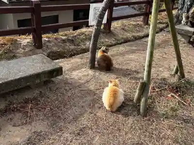 千光寺(広島県)