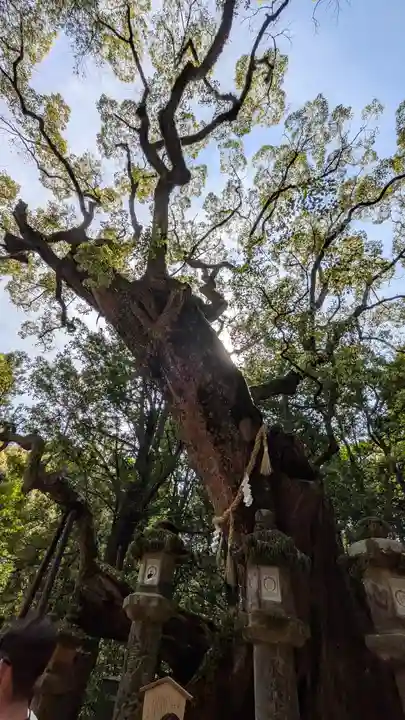 春日大社(奈良県)