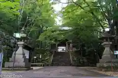 大窪寺の自然