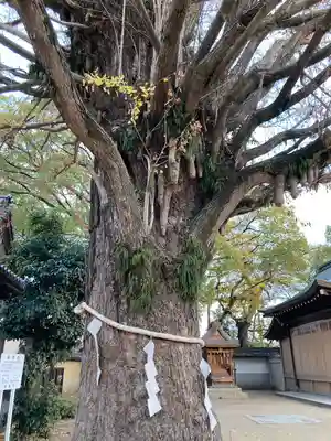 松原八幡神社のその他建物