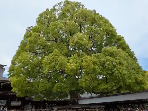 明治神宮(東京都)