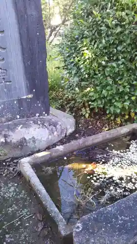 諏訪神社のその他建物