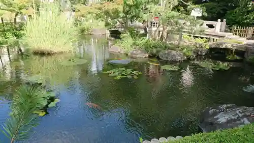 西新井大師総持寺の庭園