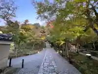 高台寺(高台寿聖禅寺・高臺寺)(京都府)
