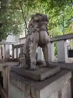 渋谷氷川神社の狛犬