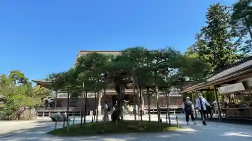 中尊寺の庭園