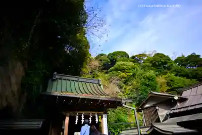 銭洗弁財天宇賀福神社(神奈川県)