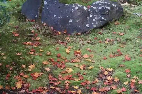 仁和寺(京都府)