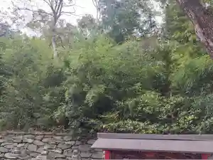 刺田比古神社(和歌山県)(2025年11月07日(金) 05時25分15秒投稿)