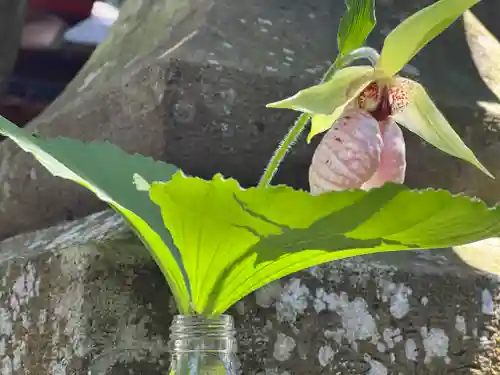 須山浅間神社(静岡県)