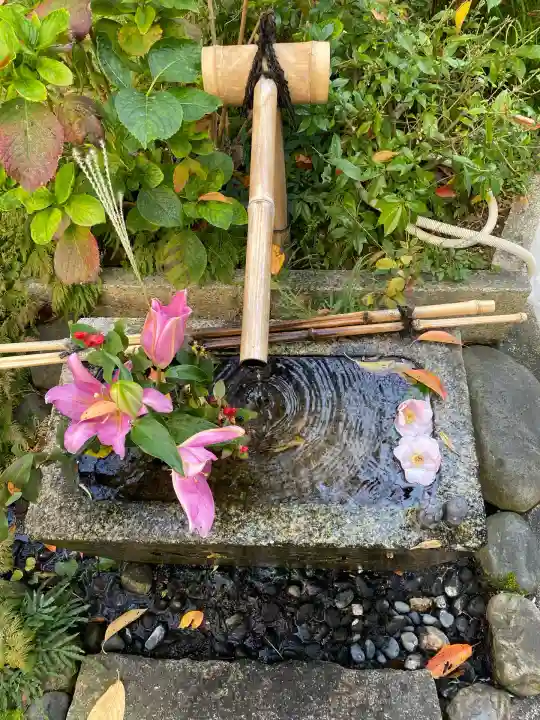 宝蔵寺(京都府)