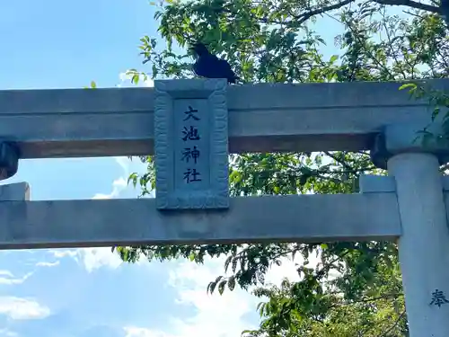 大池神社(岐阜県)