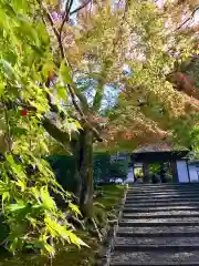 安楽寺(京都府)