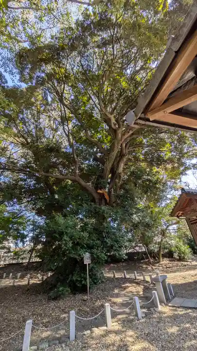 旦椋神社(京都府)