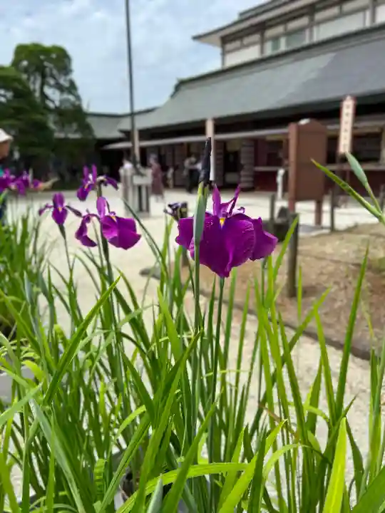 笠間稲荷神社の自然