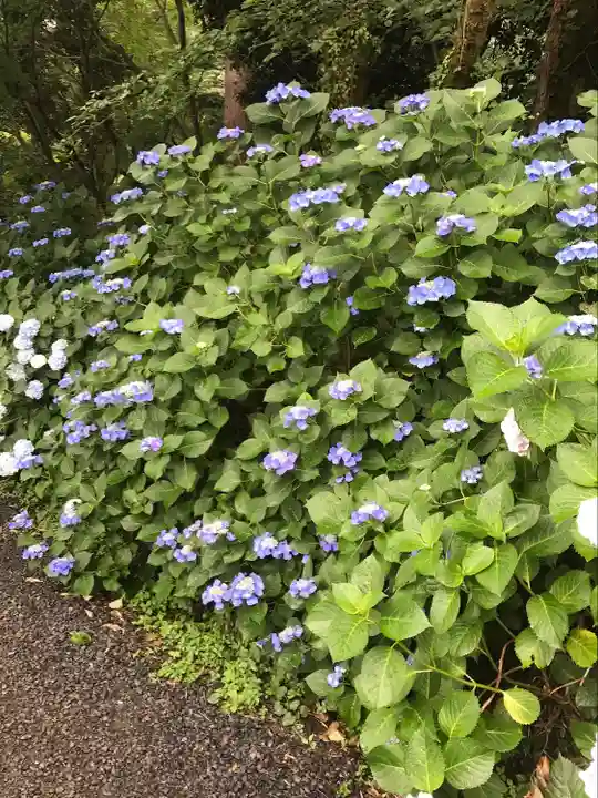 高幡不動尊 金剛寺(東京都)