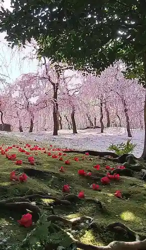 城南宮(京都府)