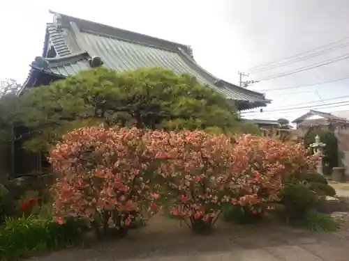 九品寺のその他建物
