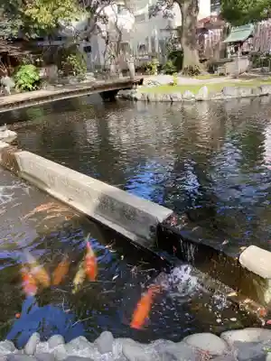 平塚八幡宮(神奈川県)