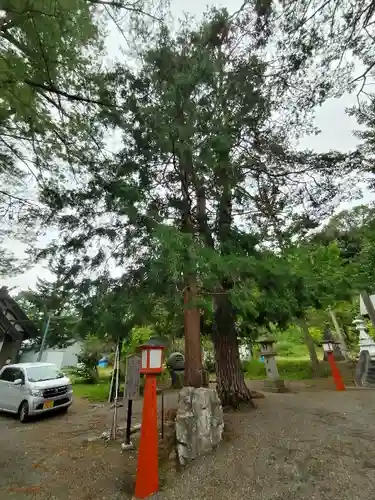滝上神社の自然